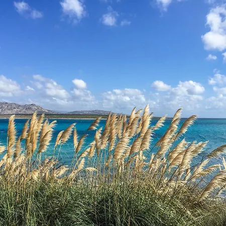 Angioy 18 3* Sassari