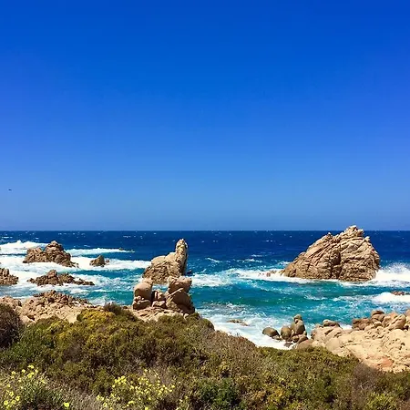 Angioy 18 B&B 사사리