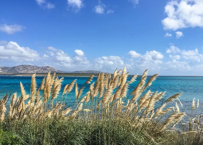 Angioy 18 3* Sassari